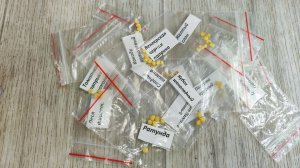 СДЕЛАЙТЕ ТАКОЙ ЭЛИКСИР И ДАЖЕ ЗАСОХШИЕ СЕМЕНА ВЗОЙДУТ ЧЕРЕЗ 2 ДНЯ!