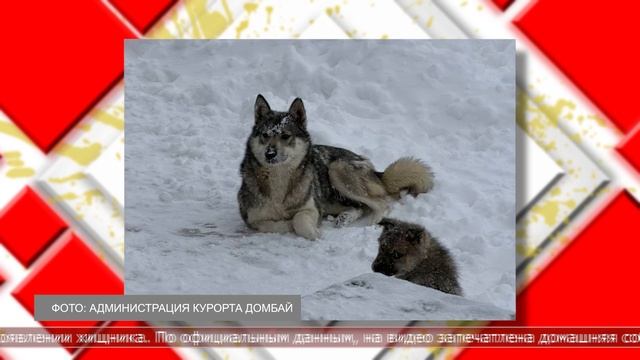 28.01.2026 Мировые новости смотреть онлайн