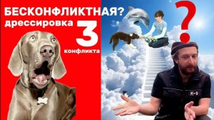 Обратная сторона гуманной, позитивной дрессировки | The truth about positive dog training