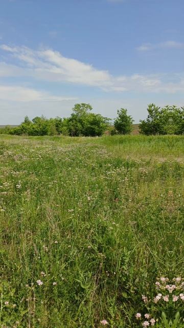 Красота 😀 смотреть онлайн