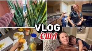 США Влог Почему я так раньше не сделала?Новый сосед!Подарок Лизы