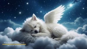 Слушать успокаивающую музыку для сна и уснуть за 5 минут