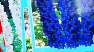 ПЛАНЫ НА ПОСАДКУ .ПЕРВЫЕ ПОСЕВЫ И ВСХОДЫ.