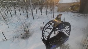 Мало снегирей