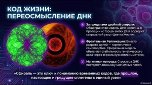 Небополитика