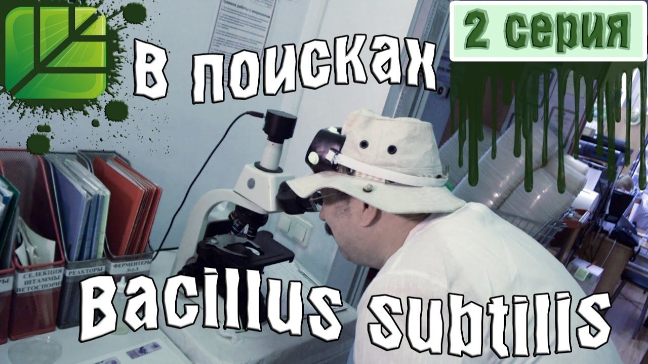 Сериал В поисках Bacillus subtilis 2 серия Влюбленный в микромир Башинком смотреть онлайн