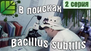 Сериал В поисках Bacillus subtilis 2 серия Влюбленный в микромир Башинком