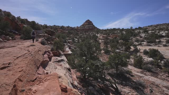 Пеший поход в одиночку по национальному парку Капитолийский Риф, штат Юта, США смотреть онлайн