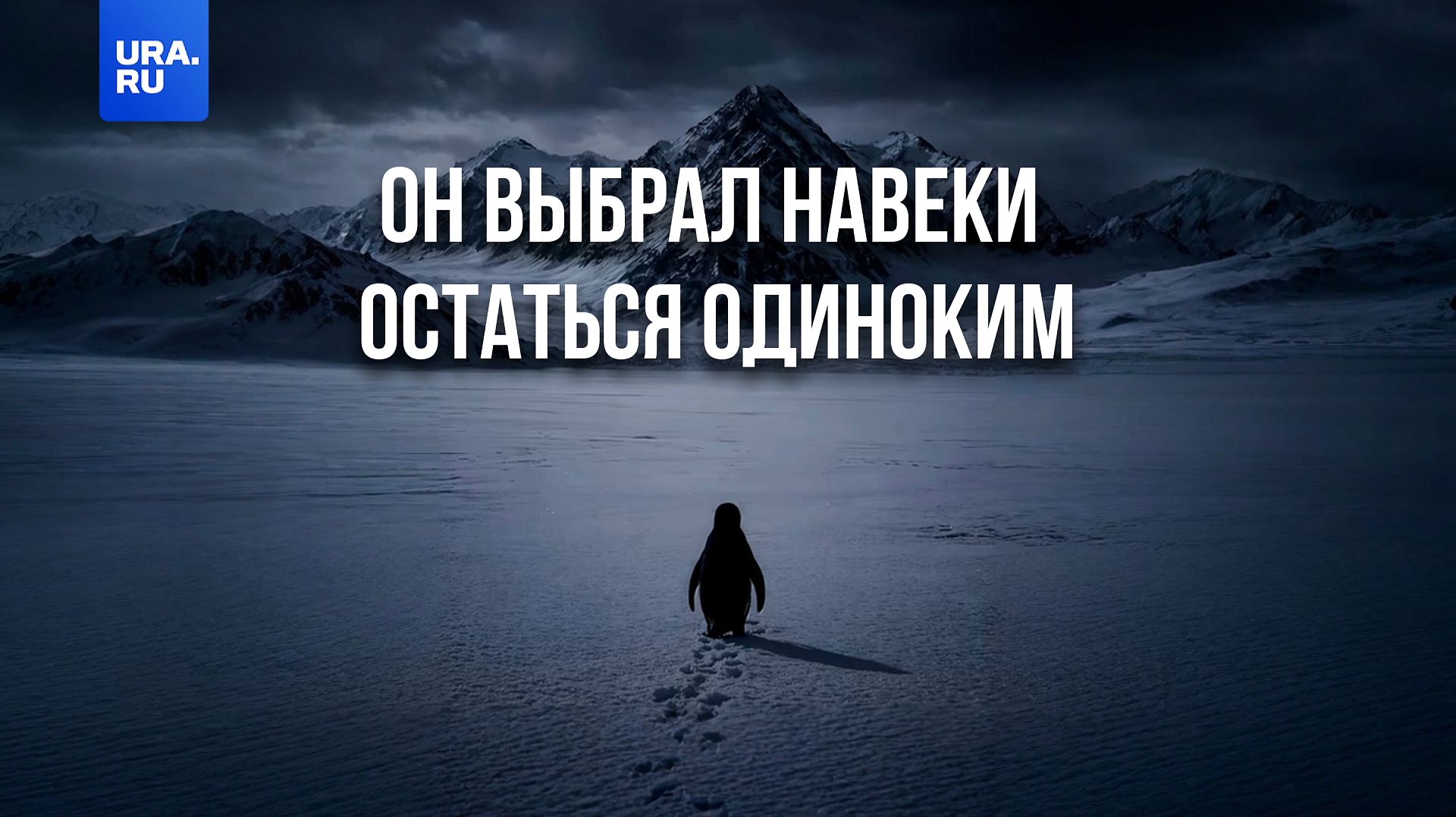 Этот пингвин решил навеки остаться одиноким смотреть онлайн