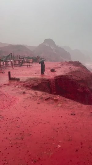 Красный пляж — одно из самых известных мест на острове Ормуз, Иран.