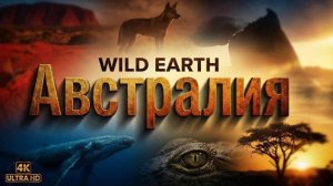 Дикая Австралия. Законы выживания.