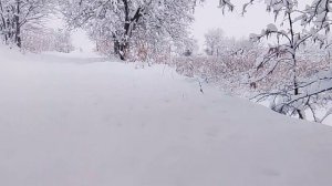 СНЕЖОЧЕК 15-16 января 2026