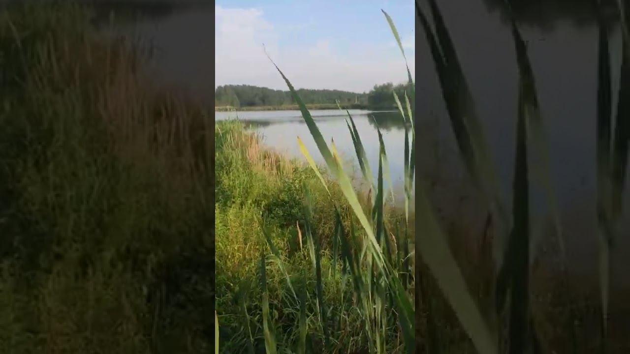 Отдых на рыбалке