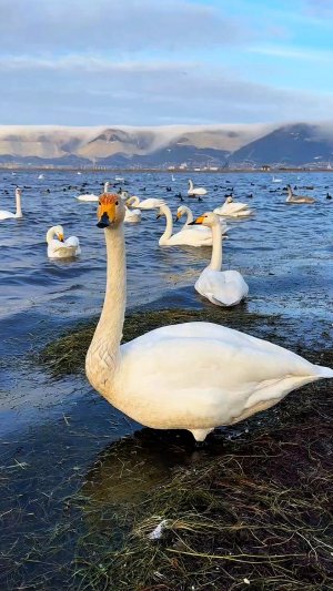 Стоит ли покупать квартиру в Новороссийске в 2026 году? Самые горячие предложения рынка.