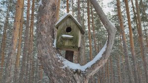 Тренировочный поход