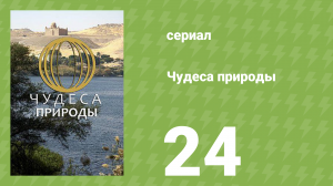 Чудеса природы 24 серия (документальный сериал, 2011)