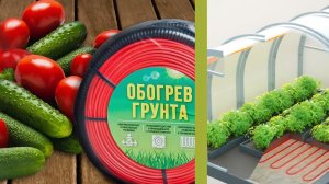 Обогрев грунта в теплице. Ранний урожай гарантирован