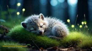 Так успокаивает музыка для сна за 5 минут!