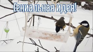 Почему я Раньше до этого не додумался, Как сделать Кормушку для птиц за 6 минут!