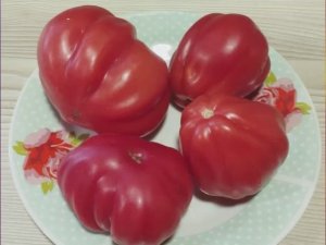 Томаты Польской селекции.  Новинки 2025 года. Часть 2