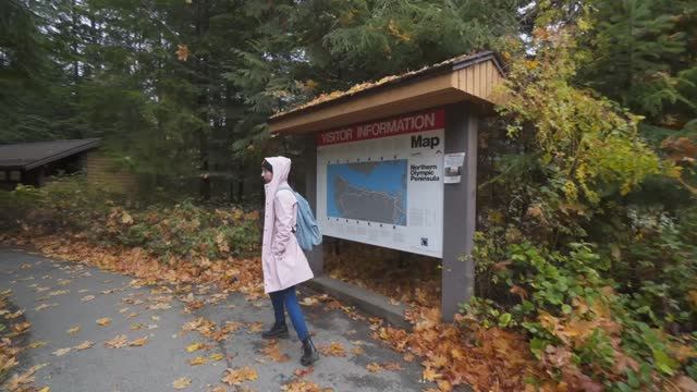 Однодневный поход в Олимпийский национальный парк, США смотреть онлайн