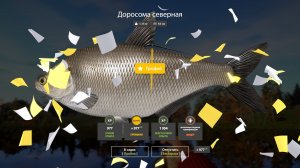 Русская Рыбалка 4 Трофей (Доросома северная) оз. Лосиное