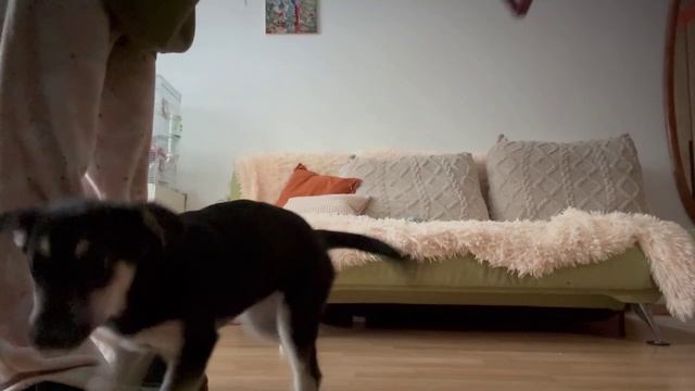 Аляска смотреть онлайн