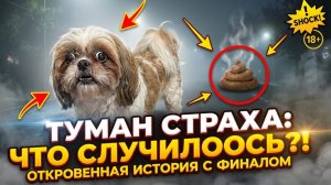 «В тумане страха: откровенная история с неожиданным финалом»