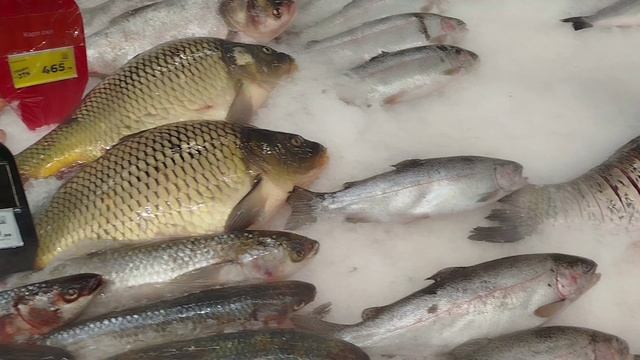 Рыбалка удалась)