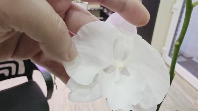 а126 смотреть онлайн