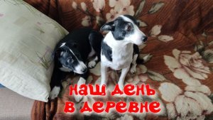 ВЛОГ/НАШ НОВЫЙ ДЕНЬ В ДЕРЕВНЕ/СОБАКИ/ИДЁМ КОПТИТЬ САЛО/
