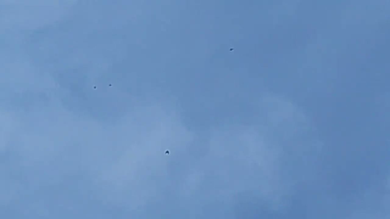 Бешеный ястреб