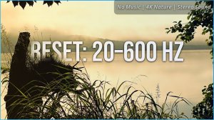 Туманное утро на озере — звуки природы для сна и спокойного пробуждения