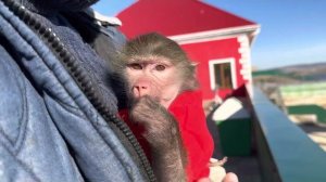 Люся с Ангелиной и Владом КАТАЮТСЯ с ГОРКИ на велосипедах!