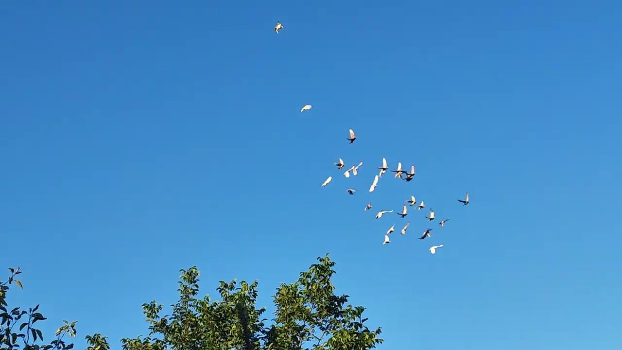 Сергей Анатольевич смотри столб.)