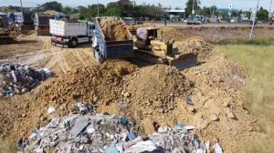 Wow! Amazing! Create Landfill into Flood Land by D40P Dozer & Heavy Truck Unload Soil from High Road