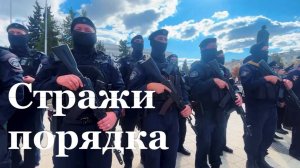 За 2025 год в МВД России по ЛНР приняли почти 173 тысячи обращений