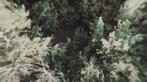 Врата Овертона-333