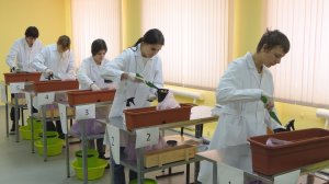 Домашкинский государственный техникум