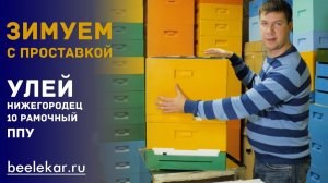 Зимовка пчел 10 рамочный  улей ППУ Нижегородец