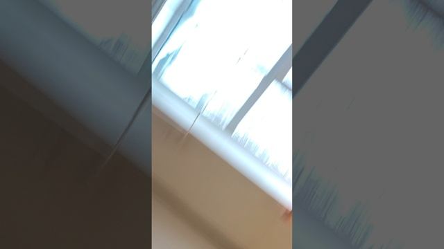 1000041924.mp4 смотреть онлайн