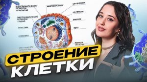 Строение клетки для ОГЭ по биологии за 10 минут / Как легко и быстро запомнить строение клетки
