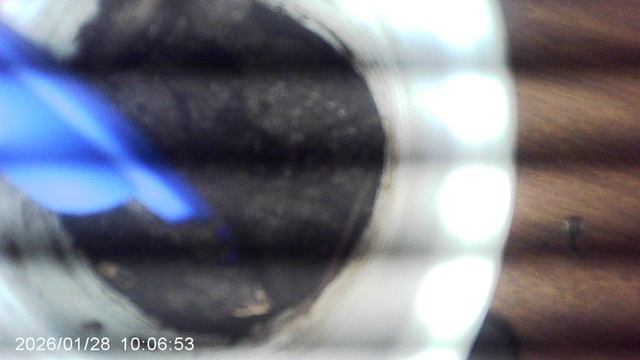 Промежуточный результат экспериментальной посадки рассады кабачков в январе