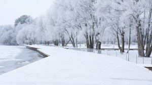 Трансляция Богослужения Новоапостольской церкви, г. Воронеж, 1.02.2026, 10:00 мск