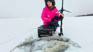 НЕВОЗМОЖНО! ЖЕНА В ОГРОМНОЙ СТАЕ РЫБЫ ВПЕРВЫЕ НА РЫБАЛКЕ УДИВИЛА ВСЕХ! Рыбалка на судака на Волге