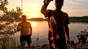 Рыбалка с ночевкой. 3 дня на острове на Вуоксе ЛО. Ловля на спиннинг и удочку. Поймал жереха!