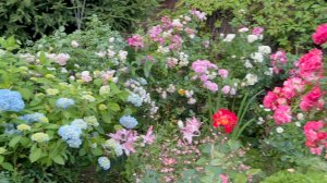 Июль в Саду 21 и 24 июля 2025