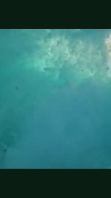 #сёрфинг #катаниенаволнах #экстремальныйспорт #приливадренаж #солнцеивода #серфингдлявсех