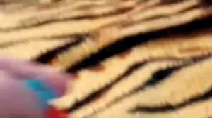 Приключения ТНТ все серии подряд