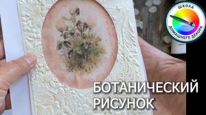 БОТАНИЧЕСКИЙ РИСУНОК